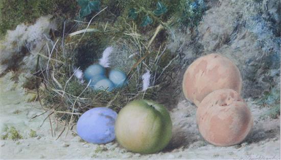 William Cruickshank (fl.1866-1879) Still lifes of fruit and birds nests, 6.5 x 10.5in.